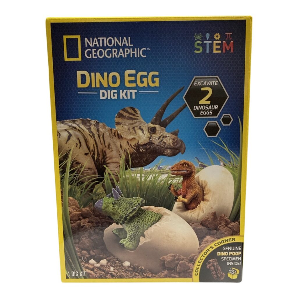Dino Egg Dig Kit Busy Beez Toy Box